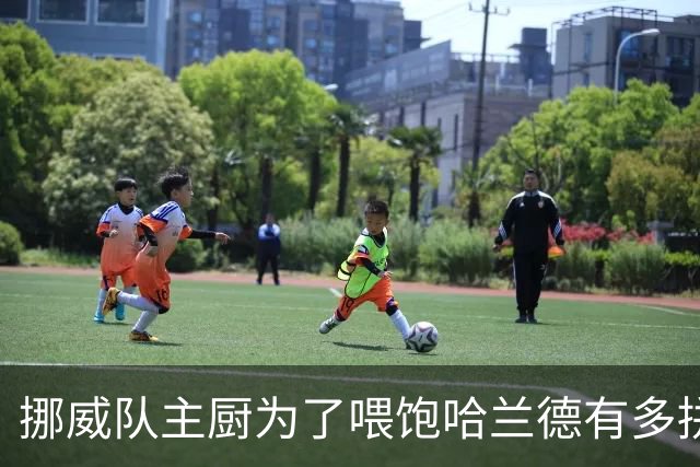 挪威队主厨为了喂饱哈兰德有多拼？他每天要补充6000卡路里热量，进入淘汰赛后球队紧急订购食材